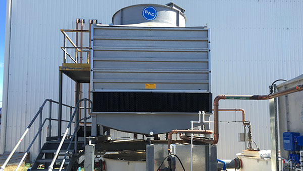 Access Platforms & Ladders